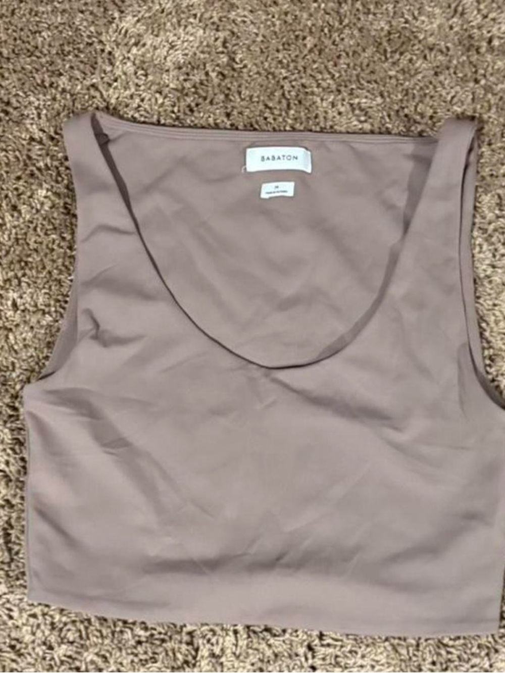 Babaton Tan/Dusty Mauve Scoop Neck Crop Tank